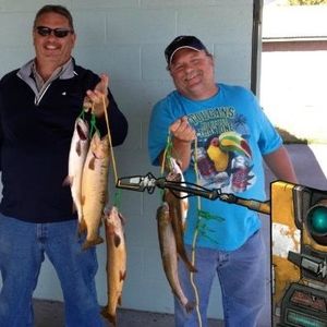 Meet your Posher, Dan